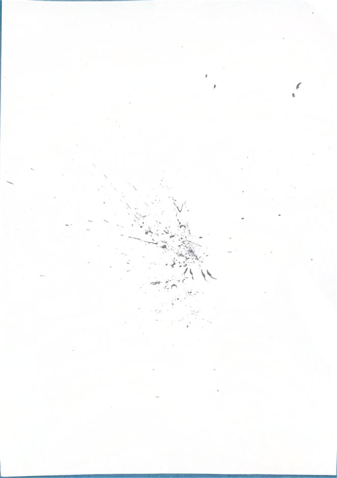 Origine n°31