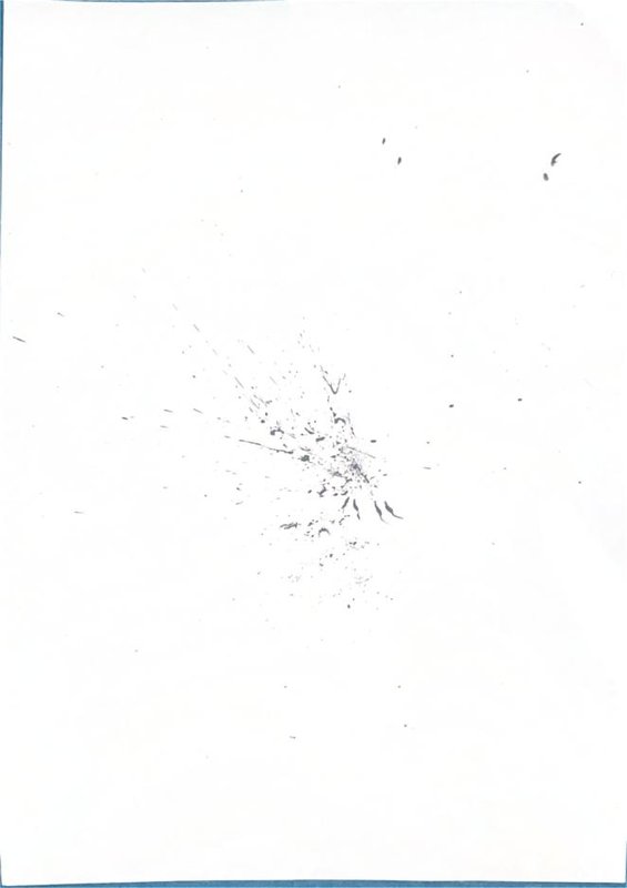 Origine n°31