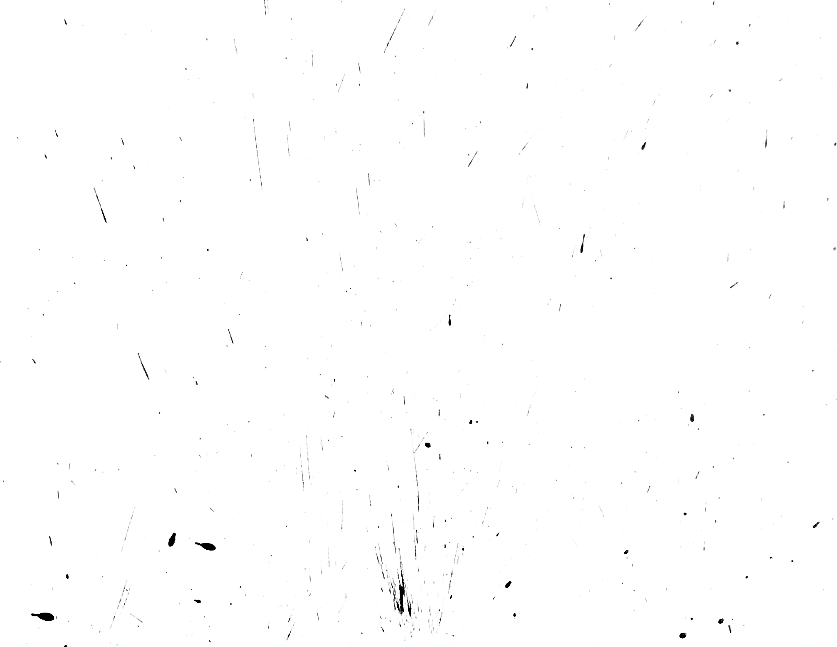 Origine n°12