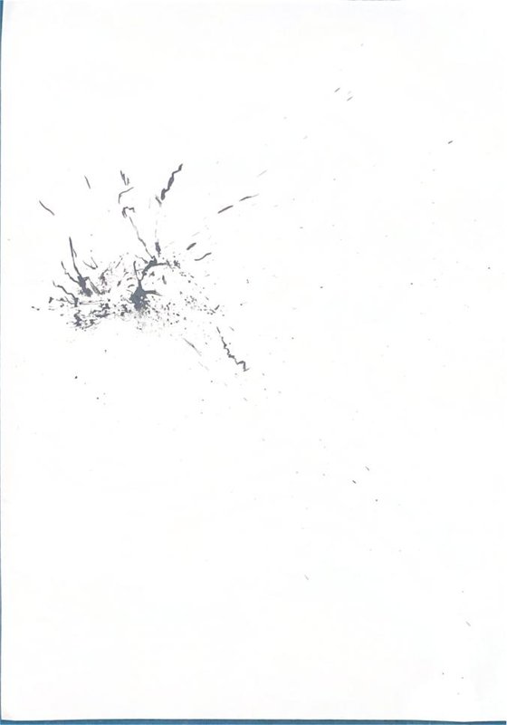 Origine n°28