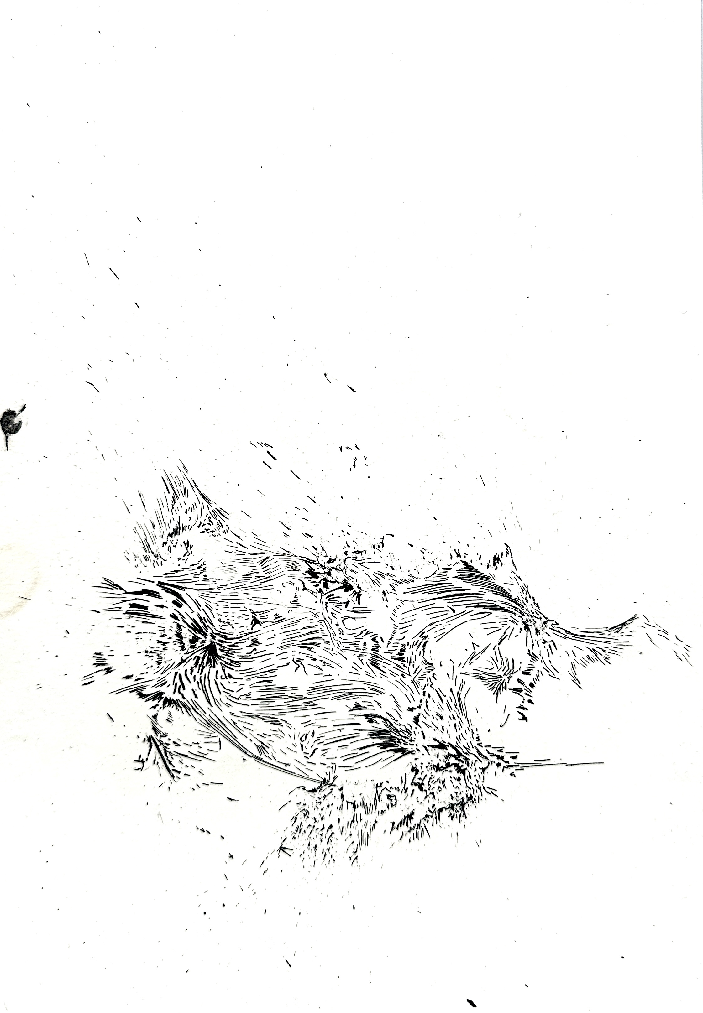 La vague