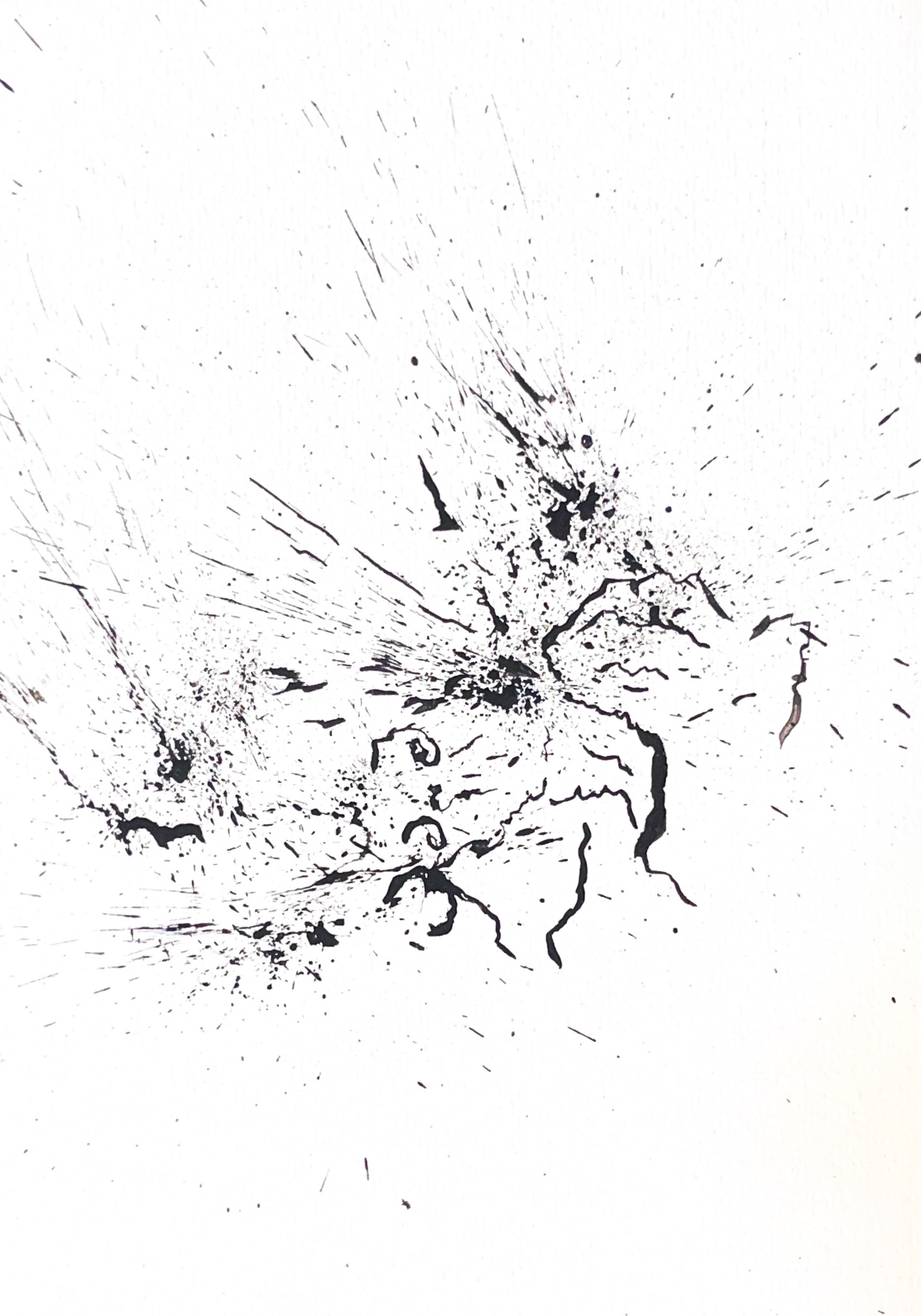 Origine n°20