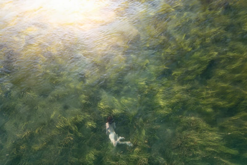 Hydrophilia  II