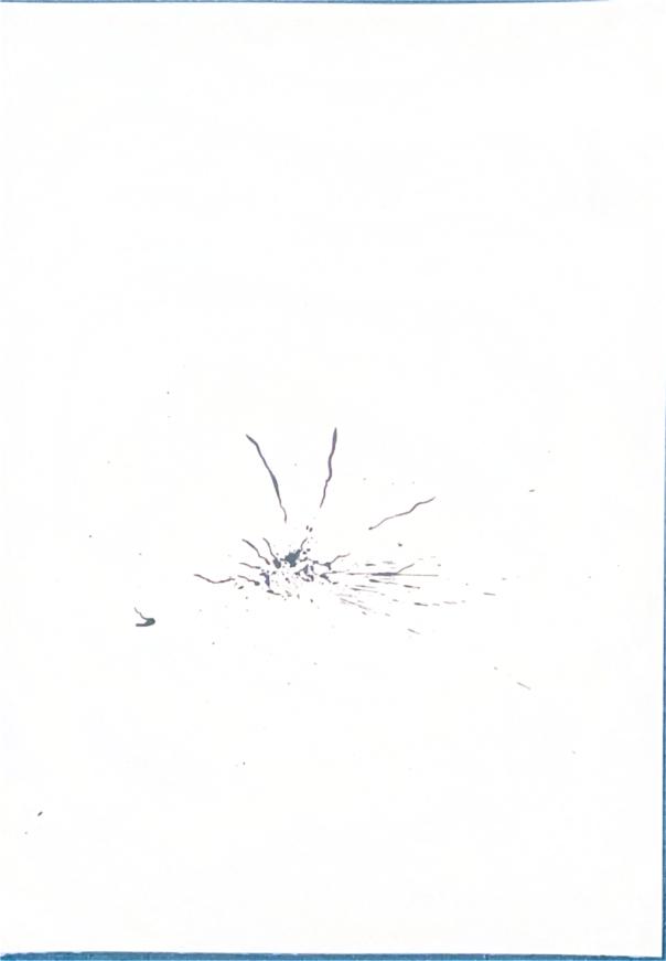 Origine n°37