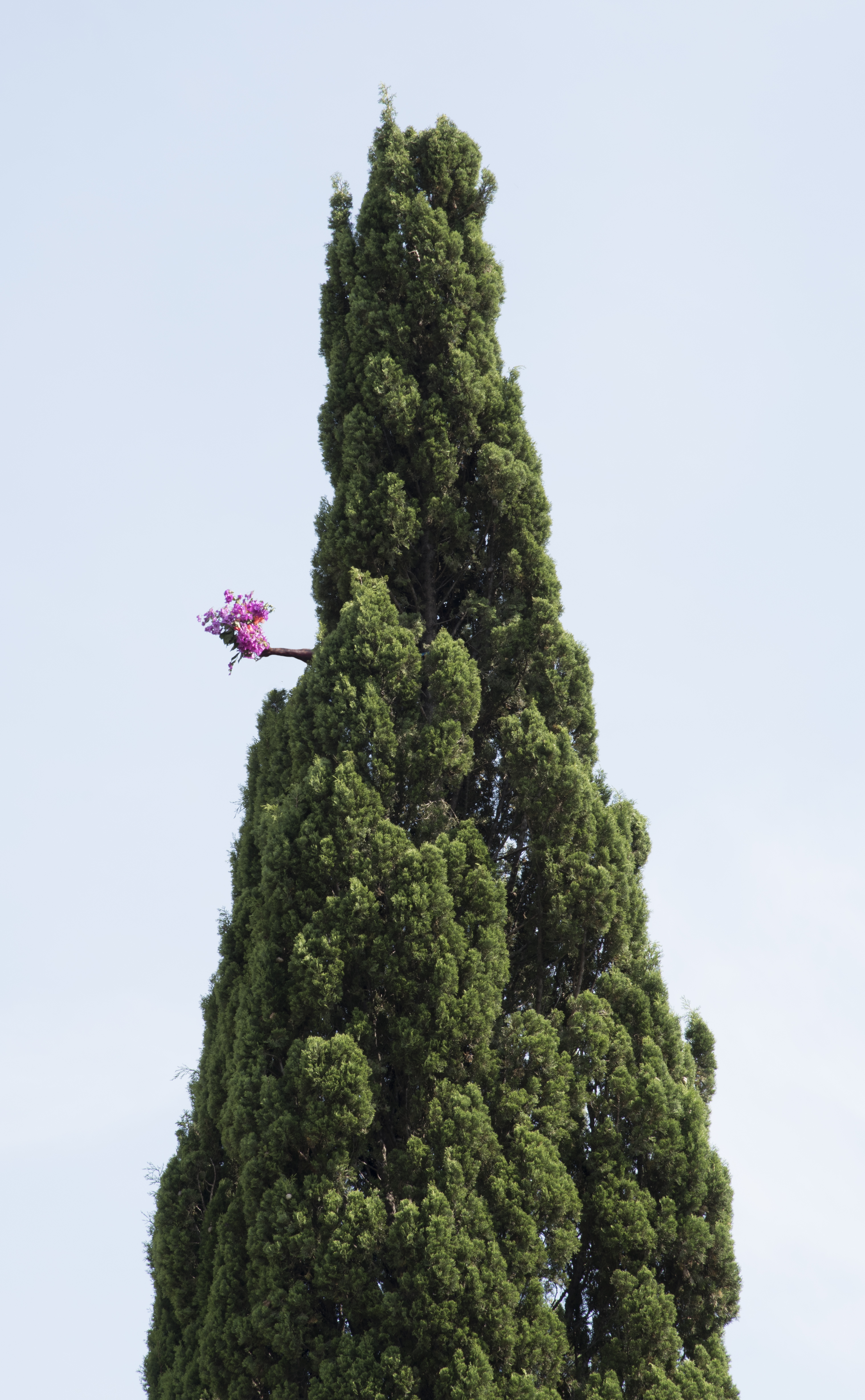 Ci-près la terre