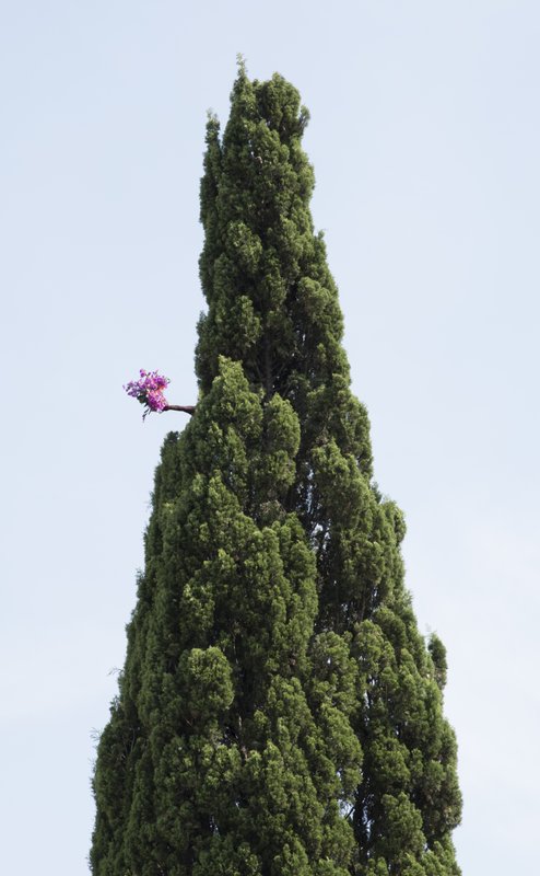 Ci-près la terre