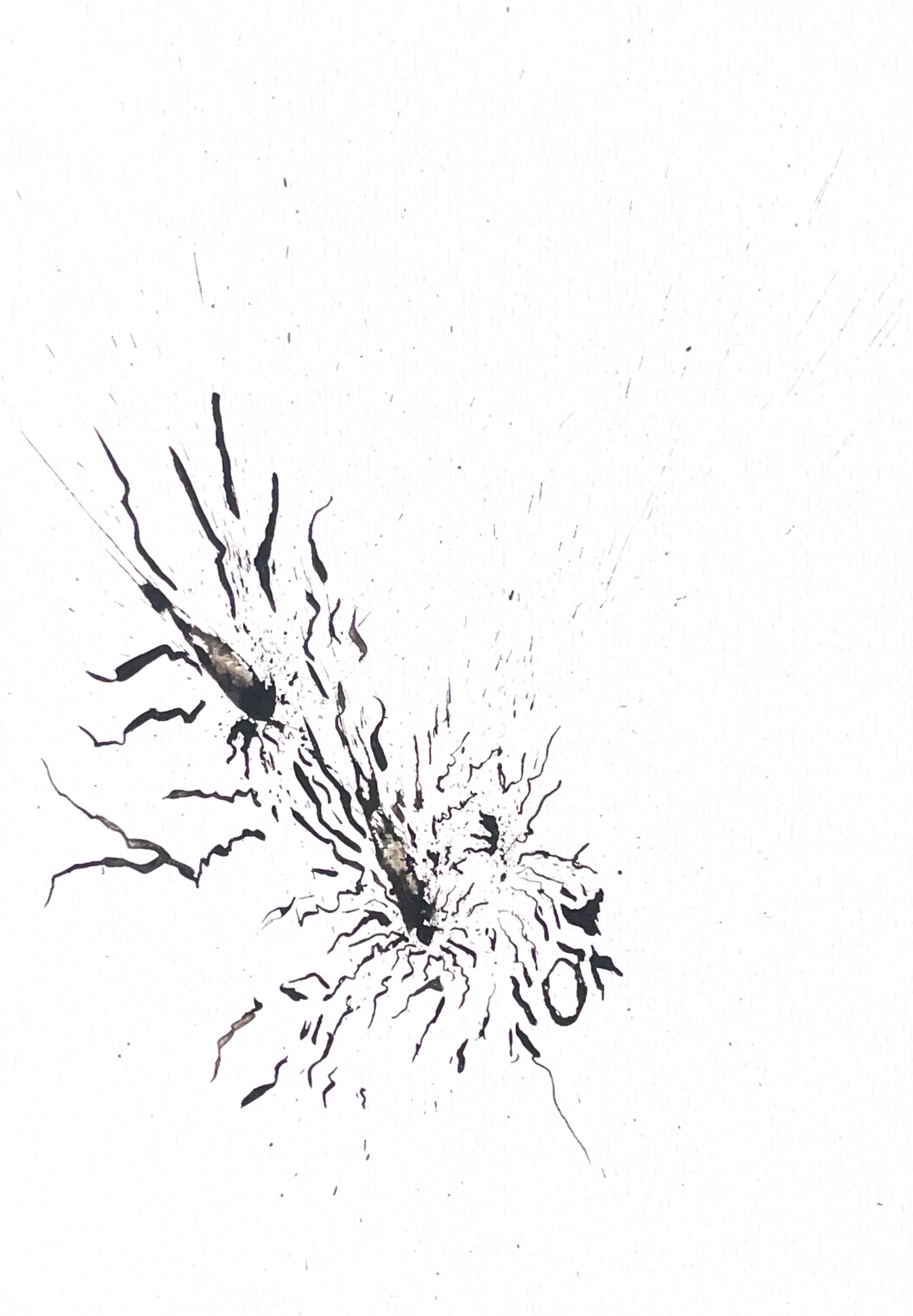 Origine n°22