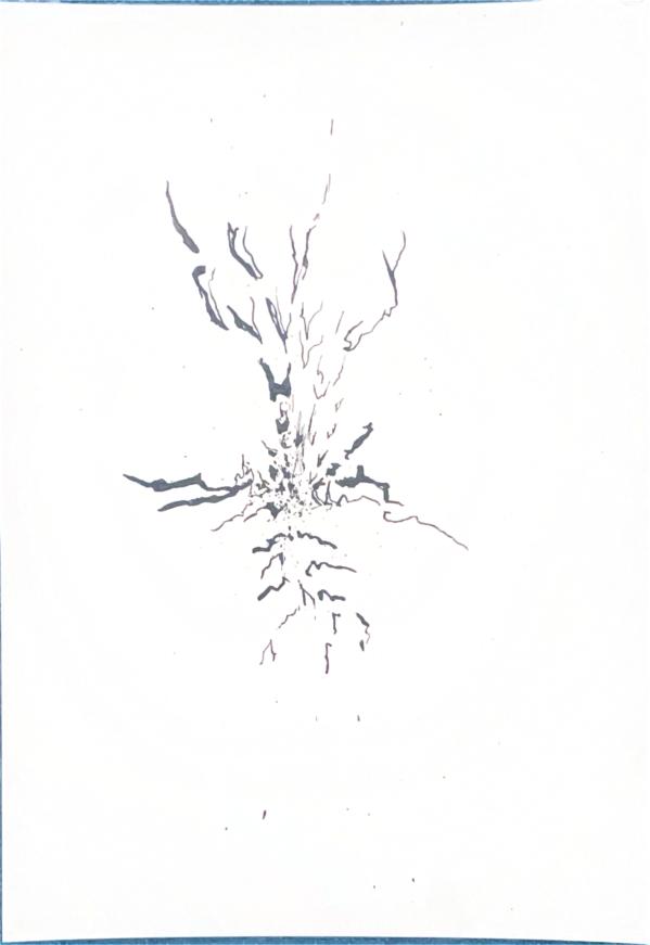 Origine n°41
