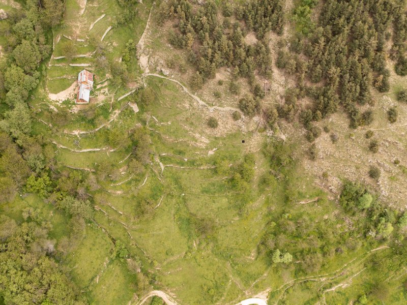 Landscape.jpg