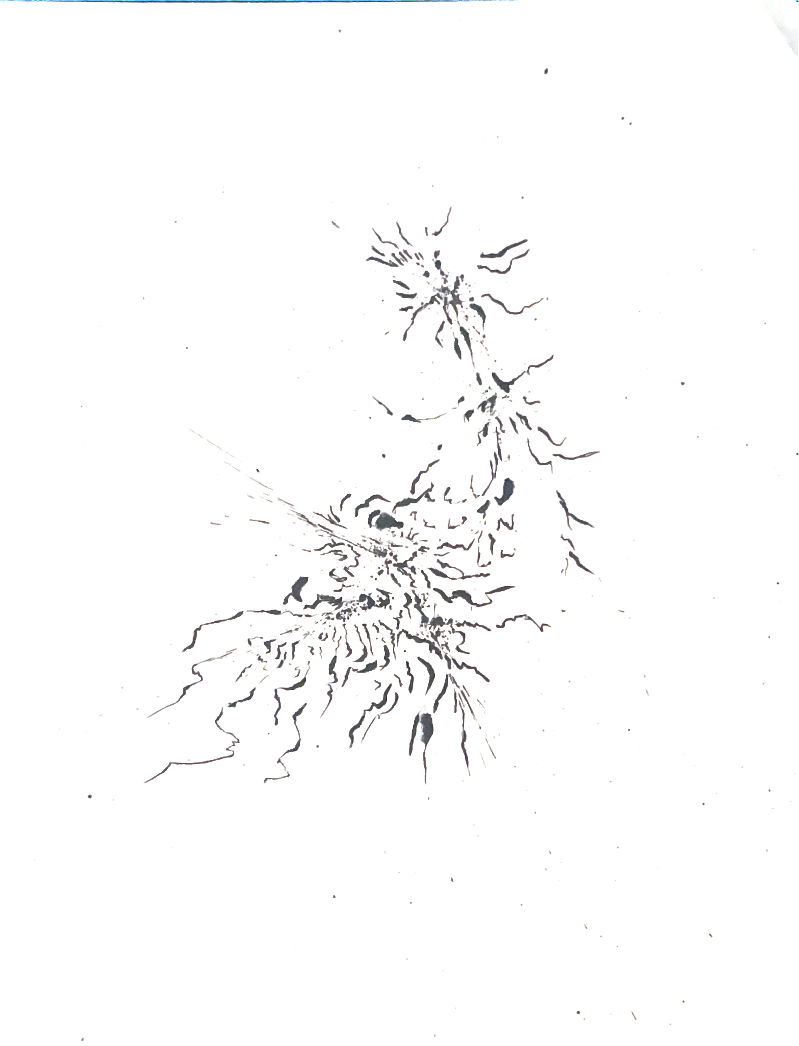 Origine n°26