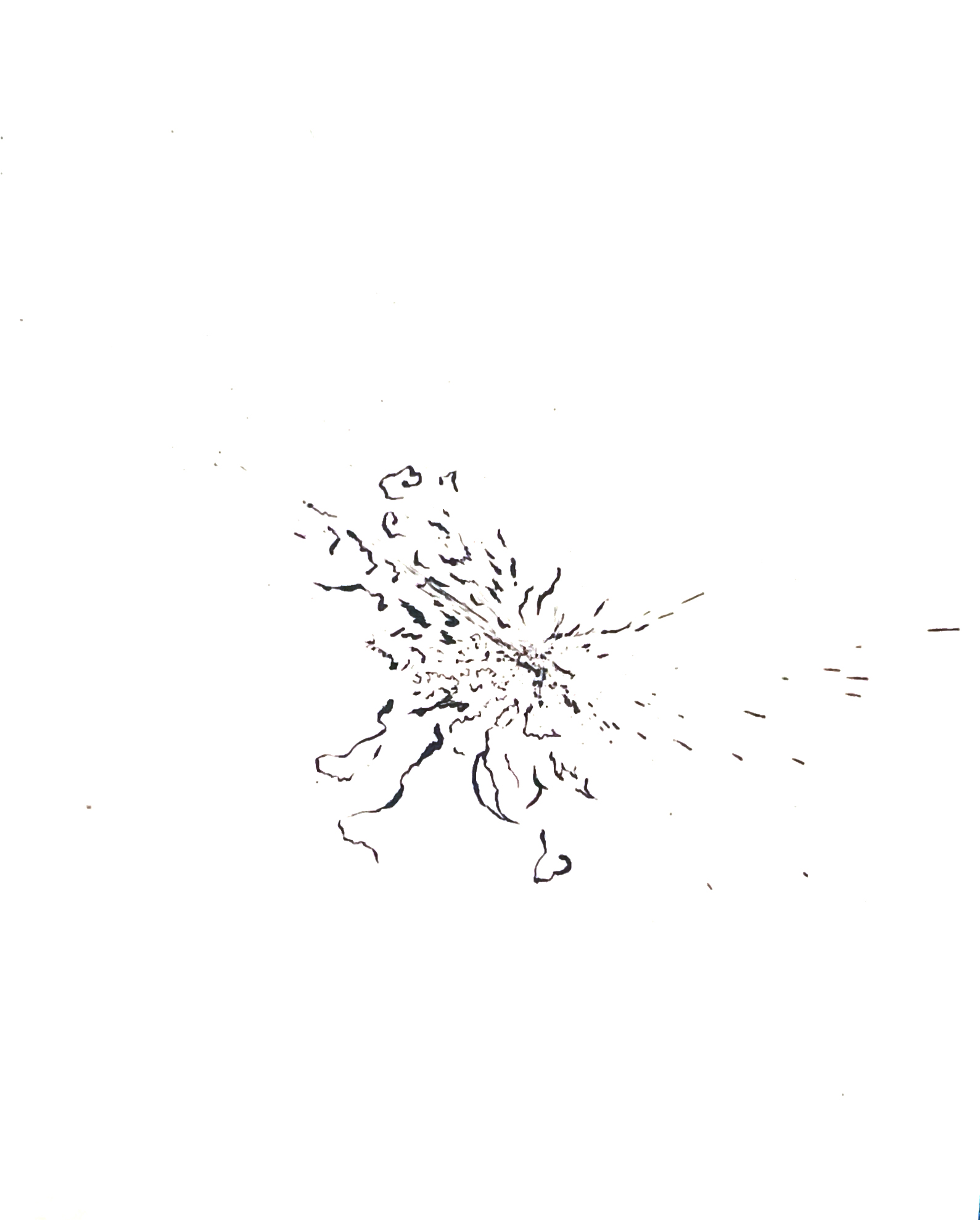 Origine n°27