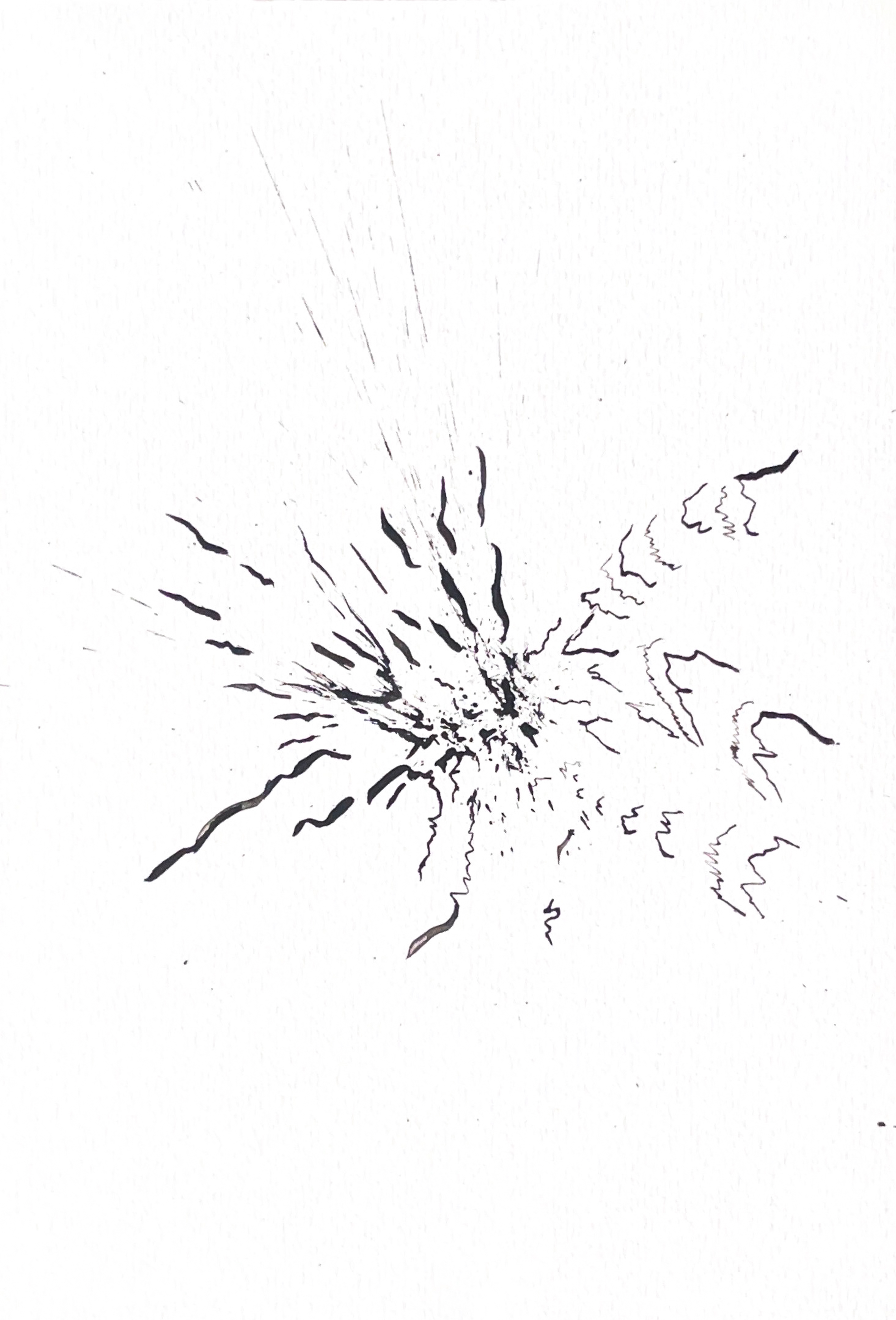Origine n°24