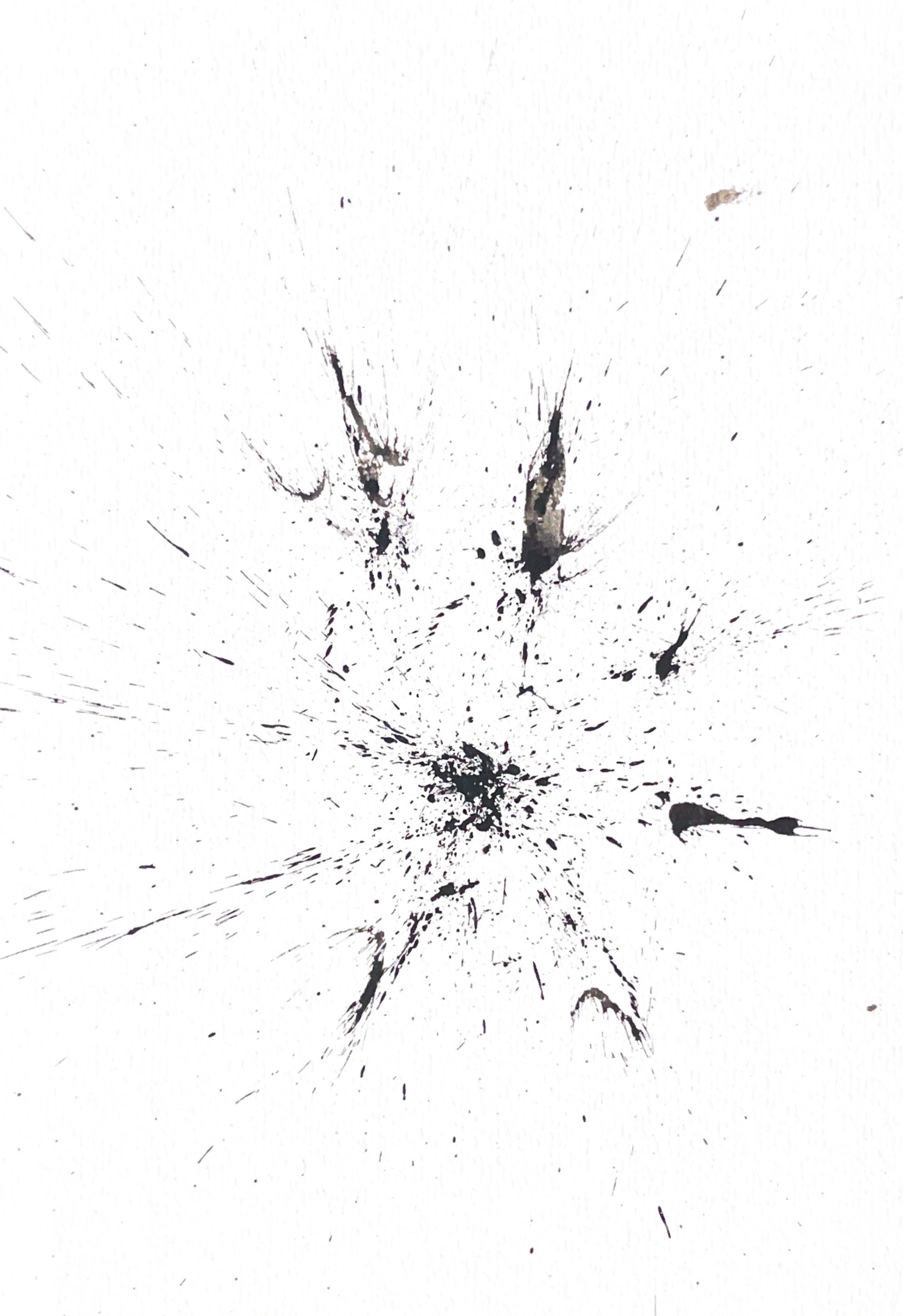 Origine n°19