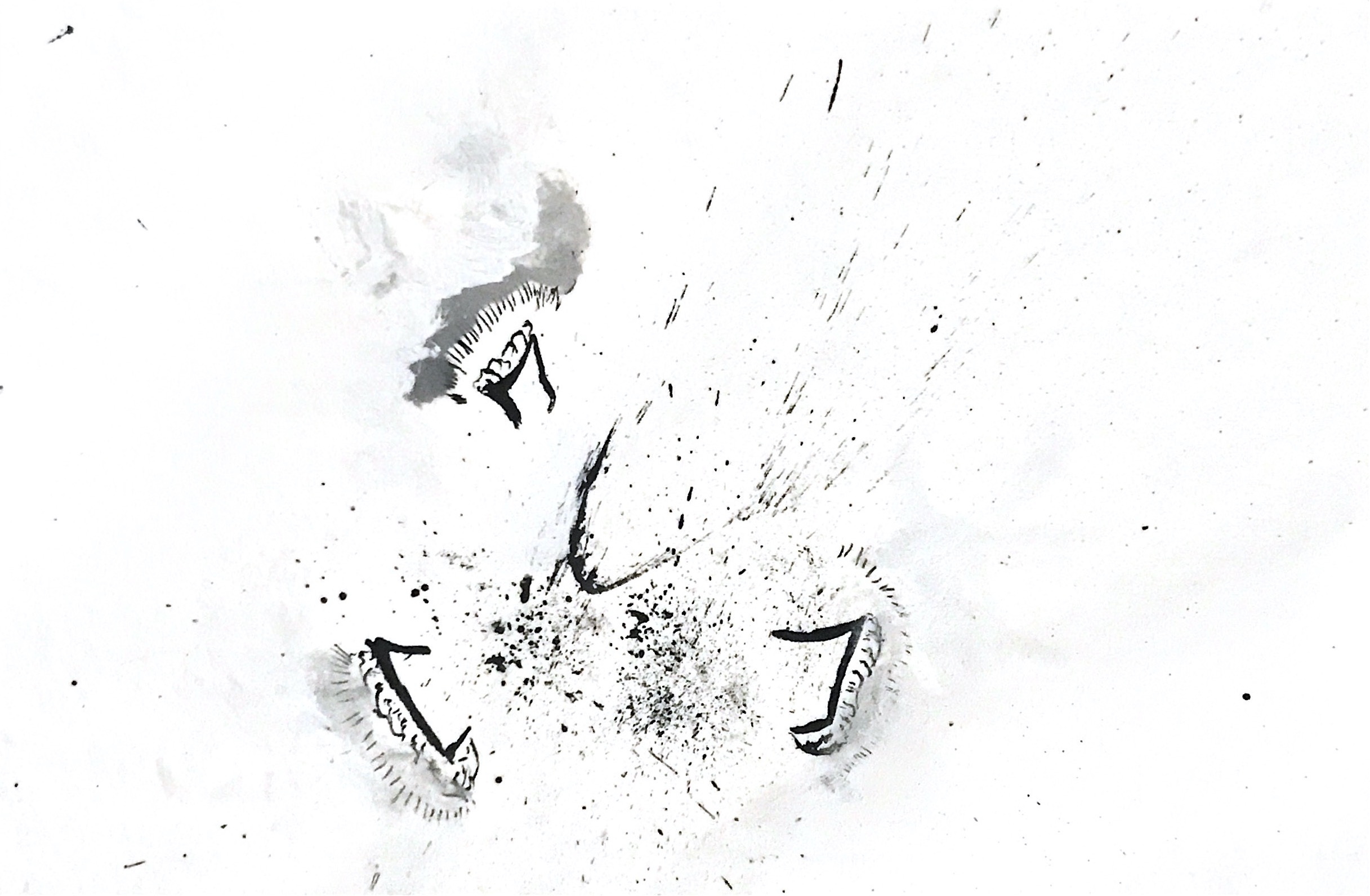 Origine n°4