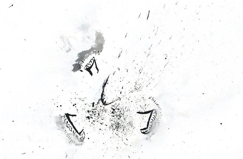 Origine n°4