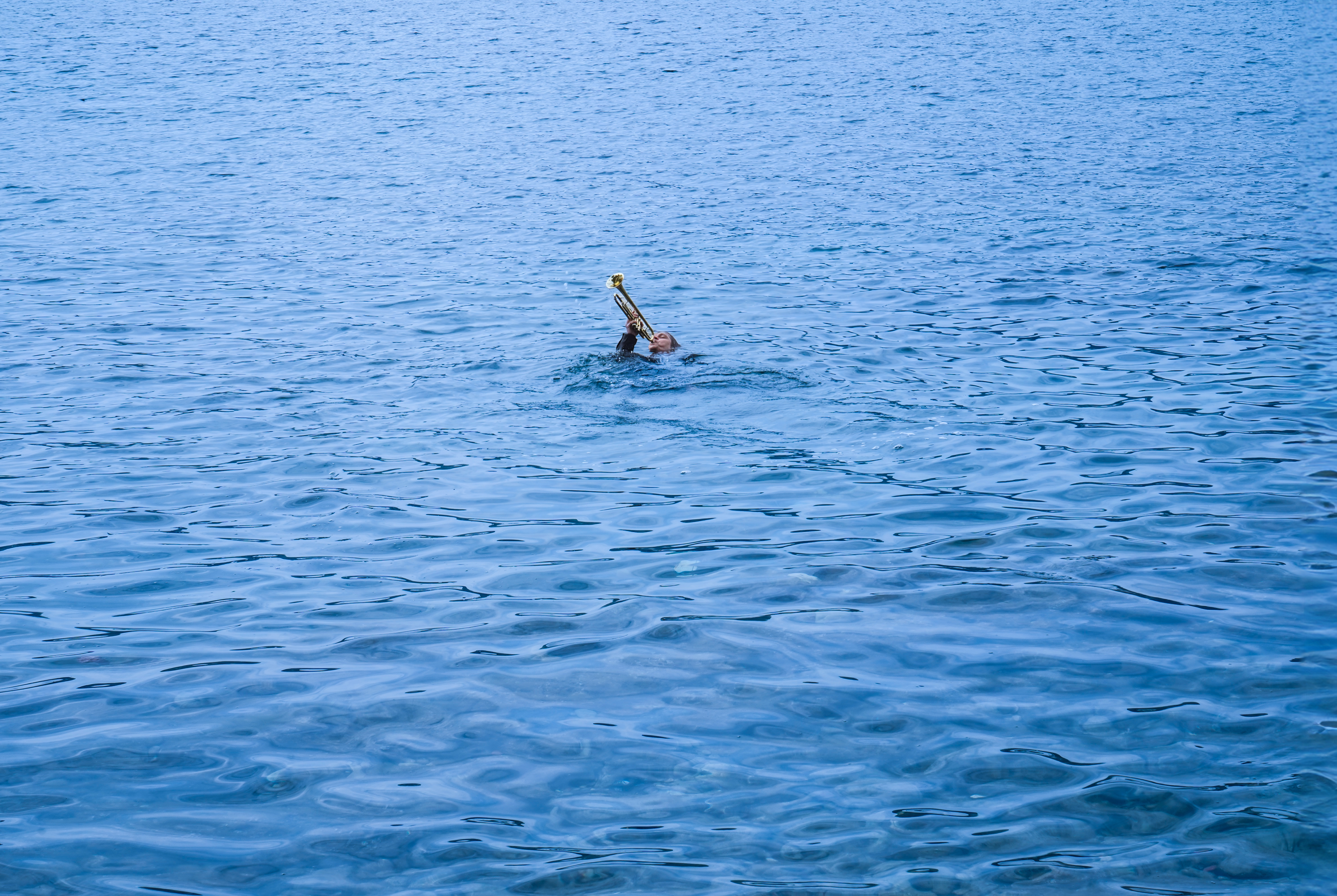 Ocean Calling