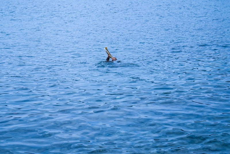 Ocean Calling