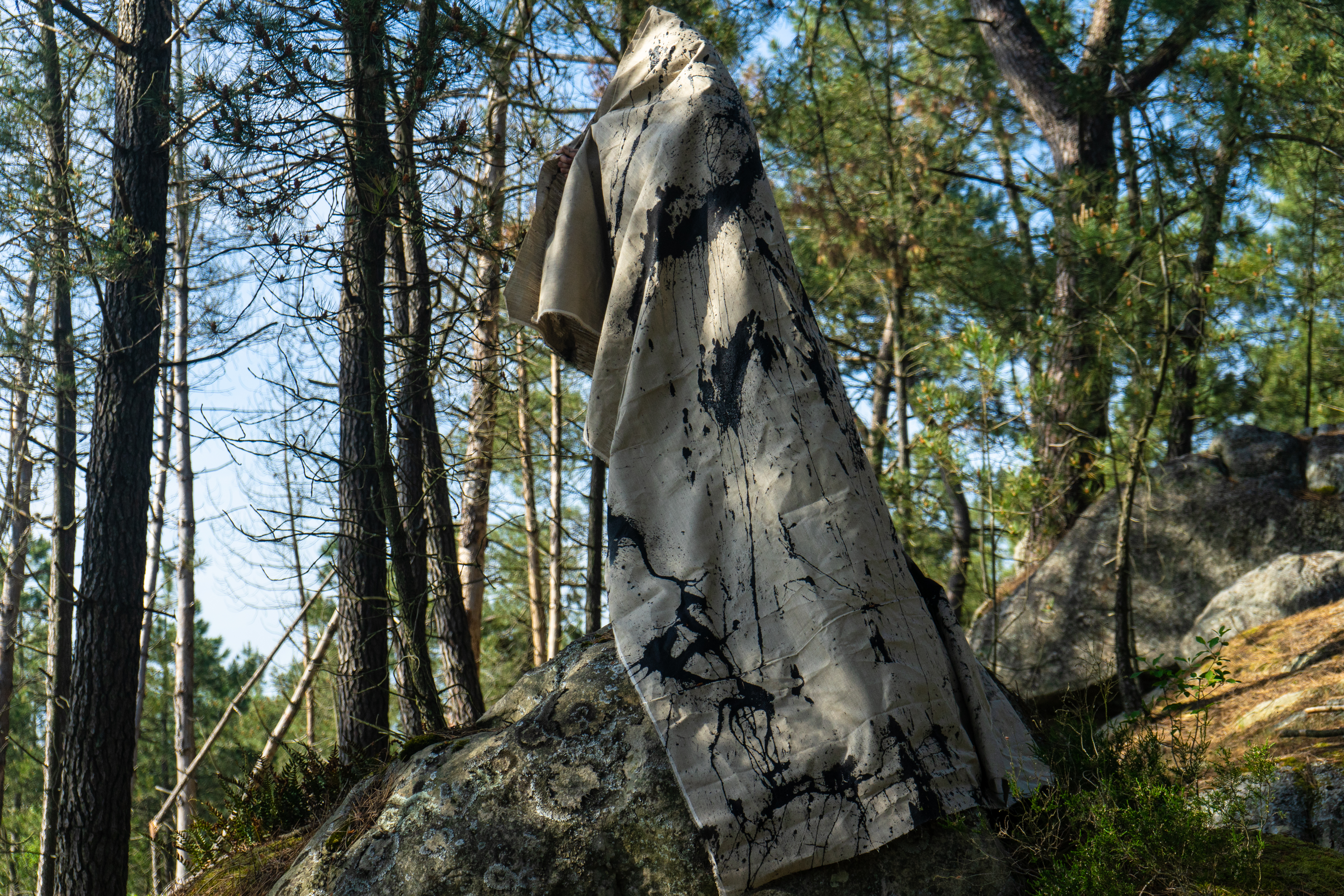 Forme de la Nature III