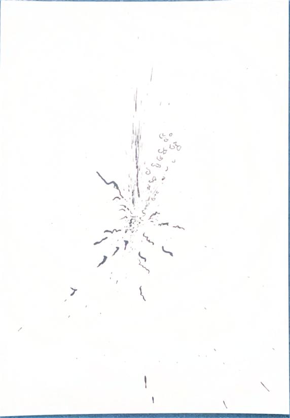 Origine n°35
