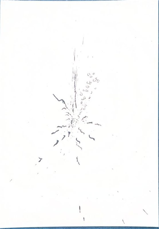 Origine n°35