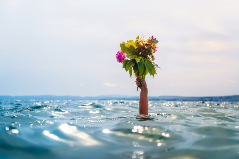 Révolution naturelle IV