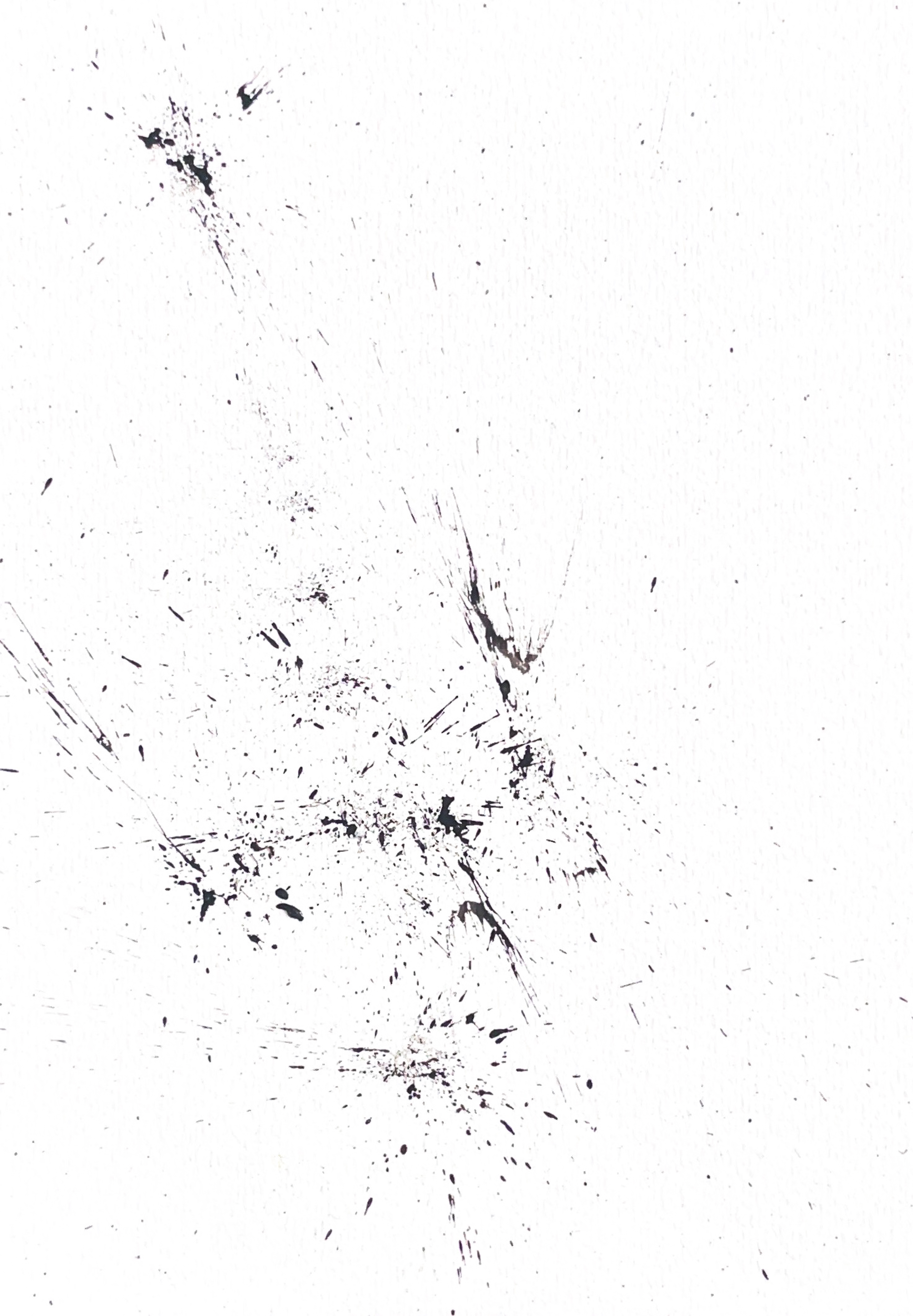 Origine n°15